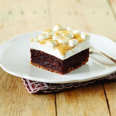 fudgy s'mores brownie repen