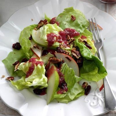 appel walnotensalade met cranberry vinaigrette