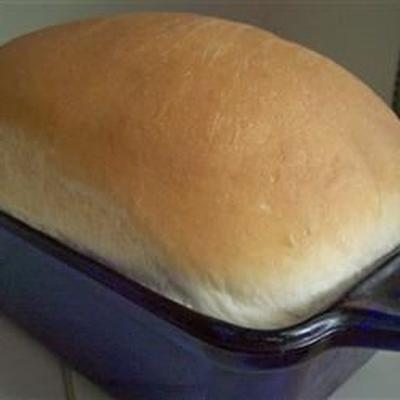 wit brood i