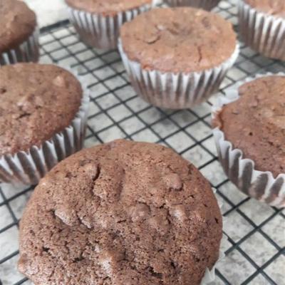 fudgy chocolate chip muffins