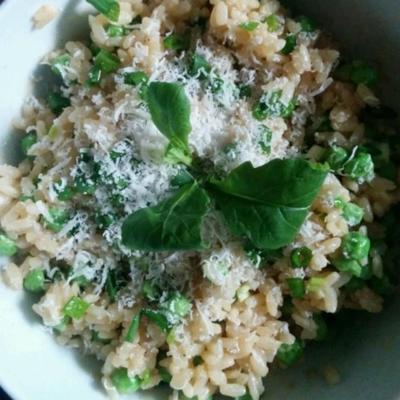 standaard magnetronrisotto