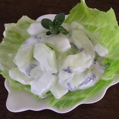komkommer en yoghurt salade