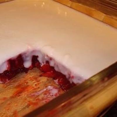 cranberry gelatinesalade