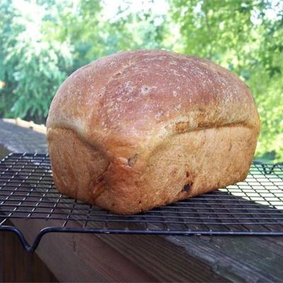 basilicum en zongedroogd tomatenbrood