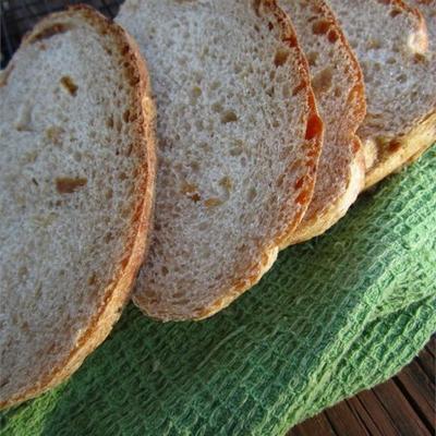 gouden sultana brood