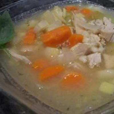jean's homemade chicken noodle soup