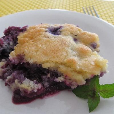 beste blueberry schoenmaker ooit