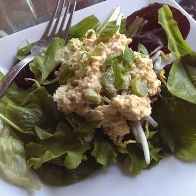 nagebootste tonijnsalade