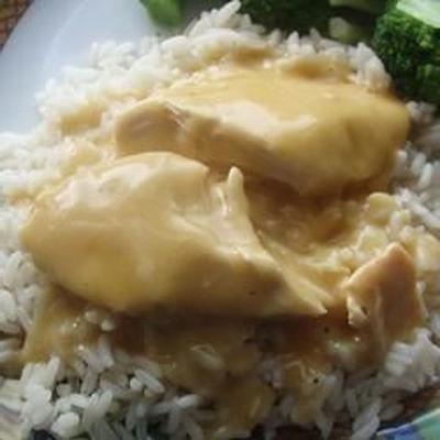 slow cooker dump en ga cheesy chicken gebruiken