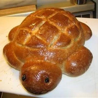 schildpad brood