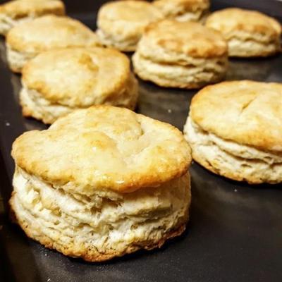 standaard koekjes