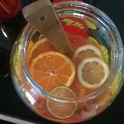 zeer fruitige rum punch