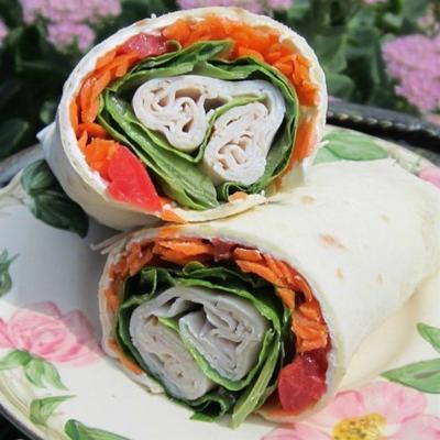 gemakkelijke snackwraps