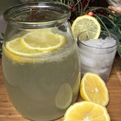 gemakkelijke limonade