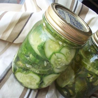 zelfgemaakte pickles in de koelkast