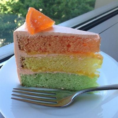 regenboogcitrusvruchtencake