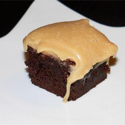 brownies met pindakaas fudge glazuur