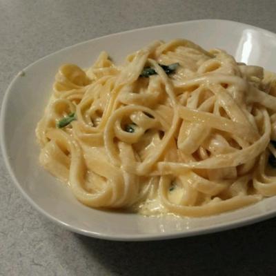 om voor fettuccine Alfredo te sterven