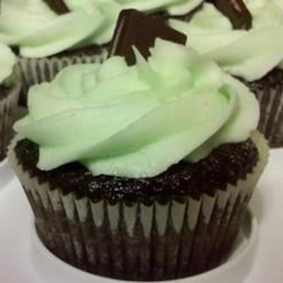 mint buttercream glazuur met donkere chocolade glazuur