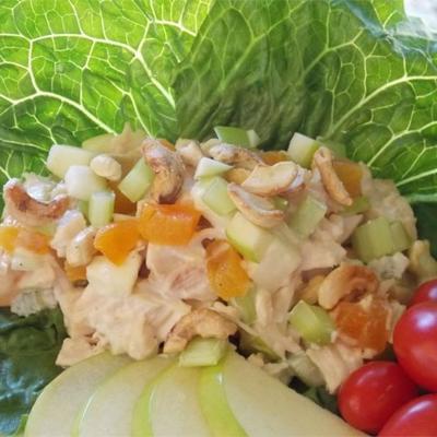 gember-abrikoos kalkoensalade