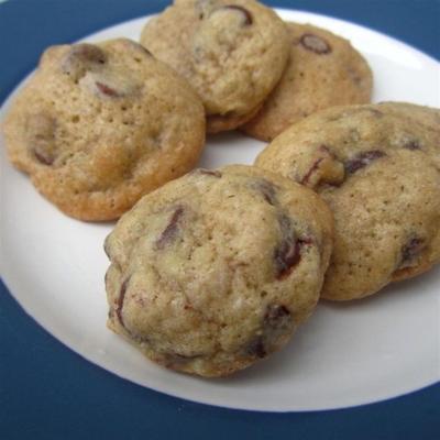 gooey marshmallow chocolate chip kaneel cookies