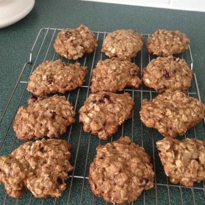 cranberry oranje haverkoekjes