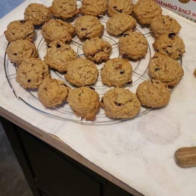 oma's havermout raisin cookies