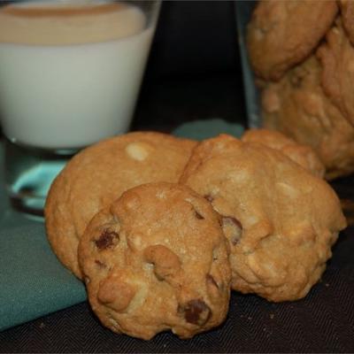 dubbele chocoladeschilfer macadamia-koekjes