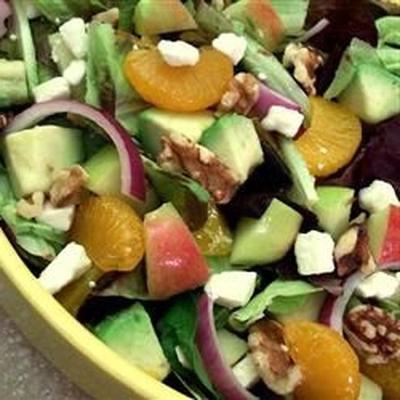 appelavocado salade met mandarijn dressing