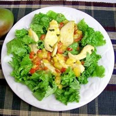 warme salade van kip en mango