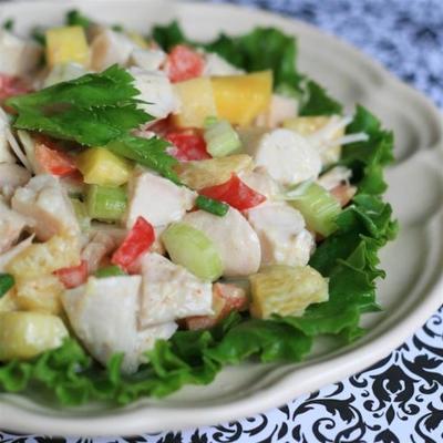 tropische kalkoensalade