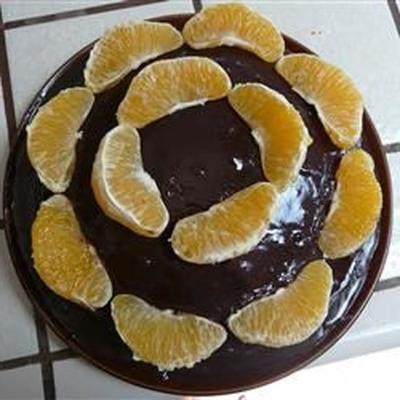 decadente chocolade oranje cake