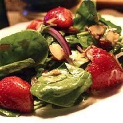 spinazie en aardbei daiquiri salade