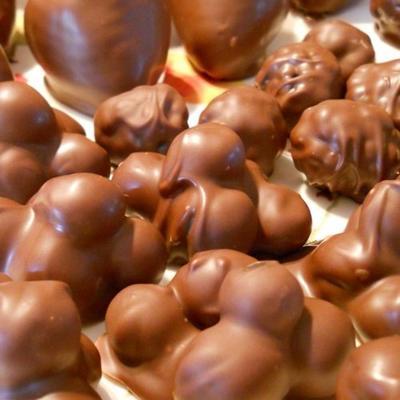 met chocolade bedekte bosbessen