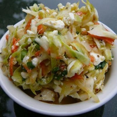 feta slaw van paige