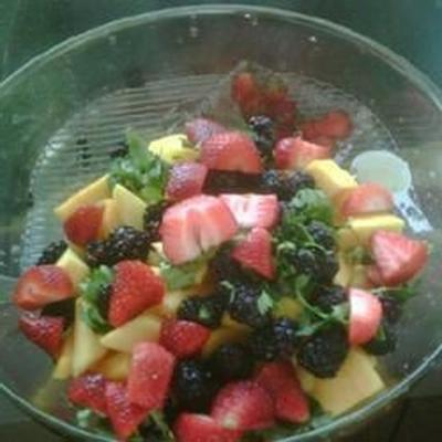 mango waanzin salade