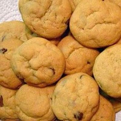chocoladeschilfers kaneel cookies