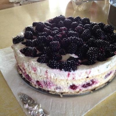 zeer Berry cheesecake