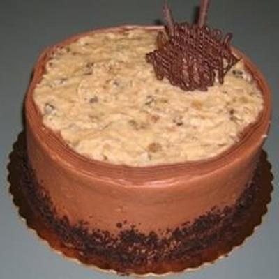 niet-zuivel chocoladecake met het Duitse chocolade berijpen