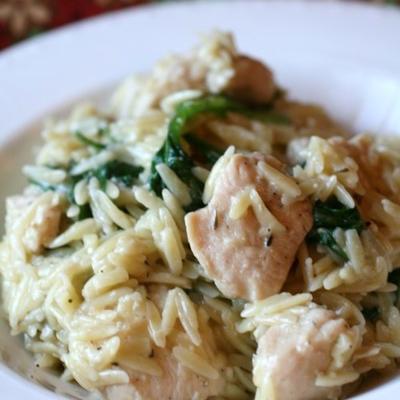 knoflookkip met orzo noedels