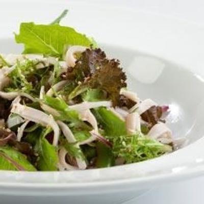 snelle Chinese kippensalade