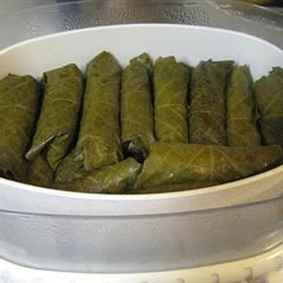 gevulde druivenbladeren (dolmades)