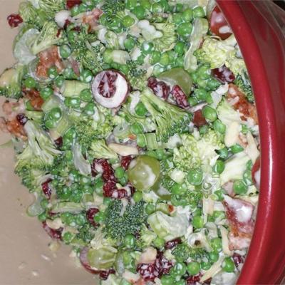 rauwe veggie picknick salade