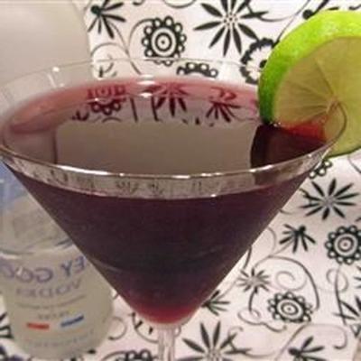 verdrag kosmopolitische martini