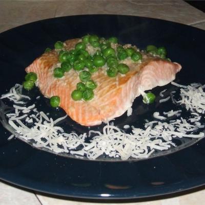 papieren zalm