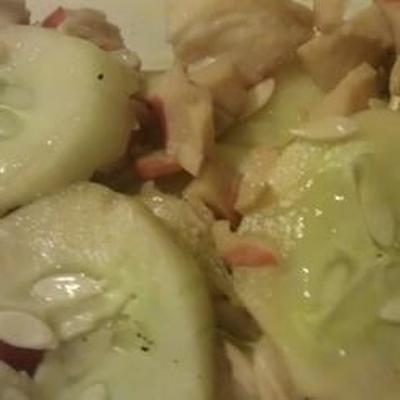 Aziatische krab en cuke salade