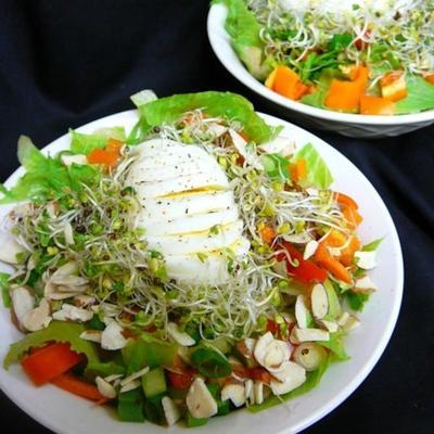 vogelnest salade