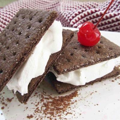 bevroren chocolade Graham 'ijsjes' broodjes