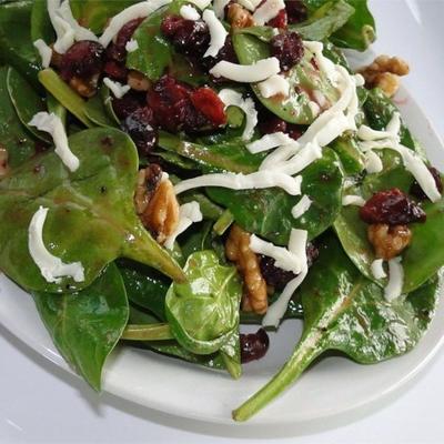 eenvoudige cranberry spinazie salade