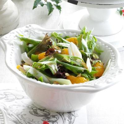 gegrilde kip- en venkelsalade met een oranje rasperry balsamico vinaigrette